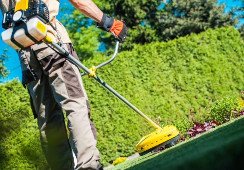 LawnMaintenance01