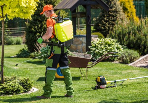 LawnMaintenance02