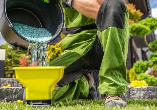 LawnMaintenance04