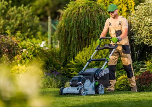 LawnMaintenance10